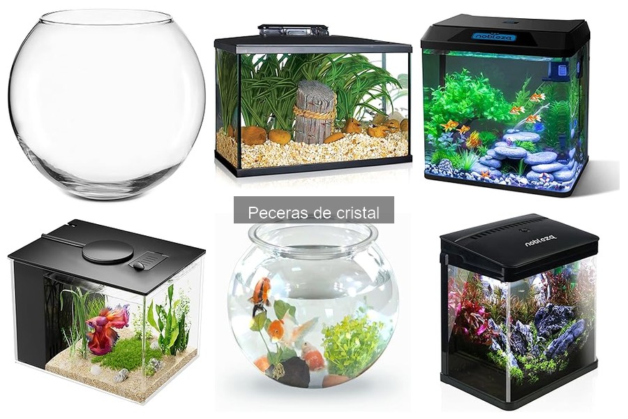 Accesorios imprescindibles para peceras de cristal