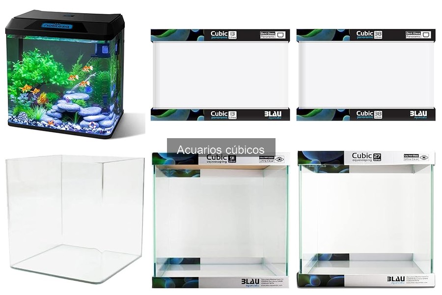 Accesorios indispensables para acuarios cúbicos