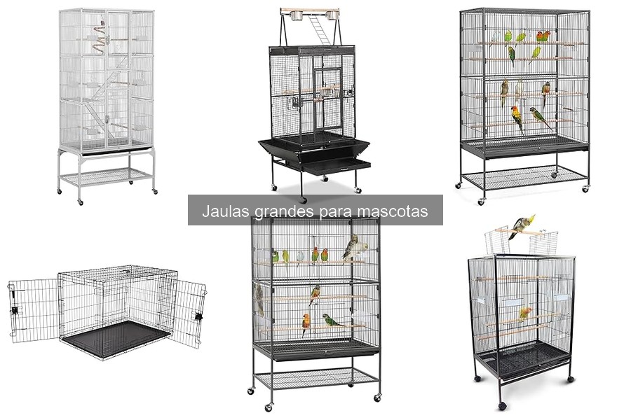 Accesorios indispensables para jaulas grandes de mascotas