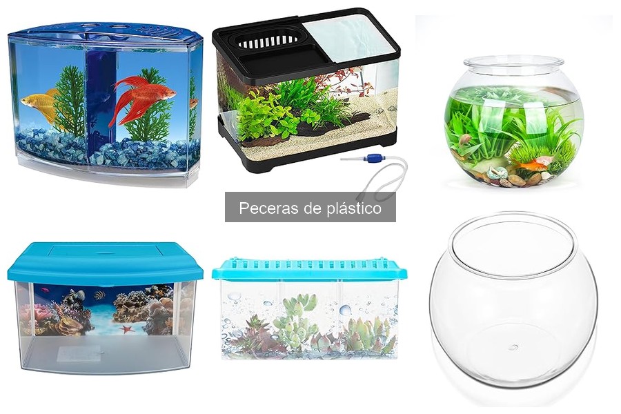 Accesorios indispensables para peceras de plástico