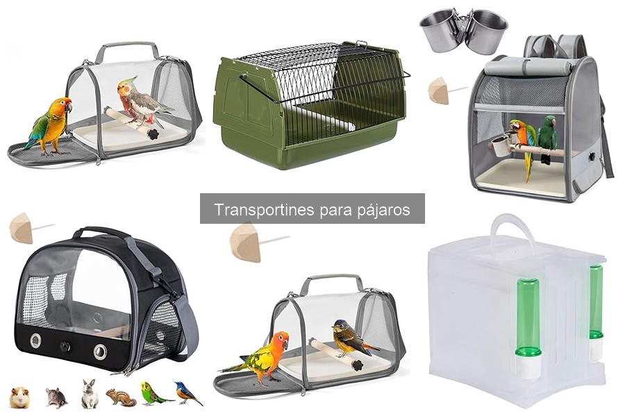 Accesorios Útiles para Transportar Pájaros con Comodidad