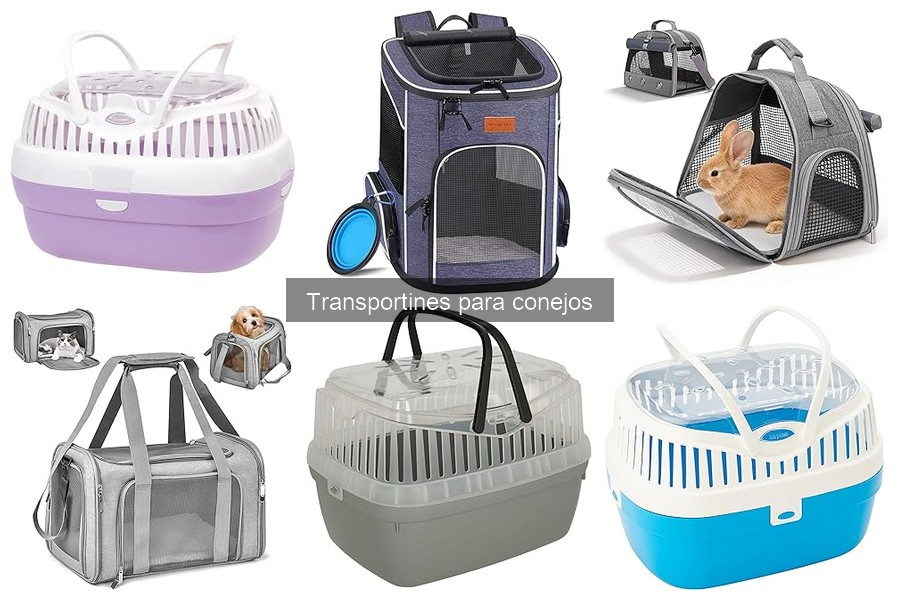 Accesorios útiles para transportines de conejos: guía completa