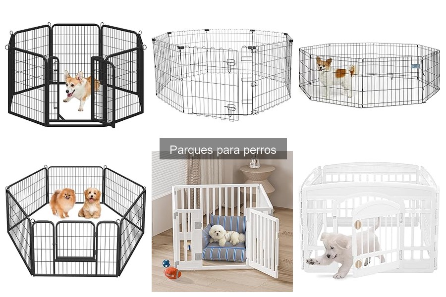 Actividades Divertidas en Parques para Perros: ¡Juega y Disfruta!