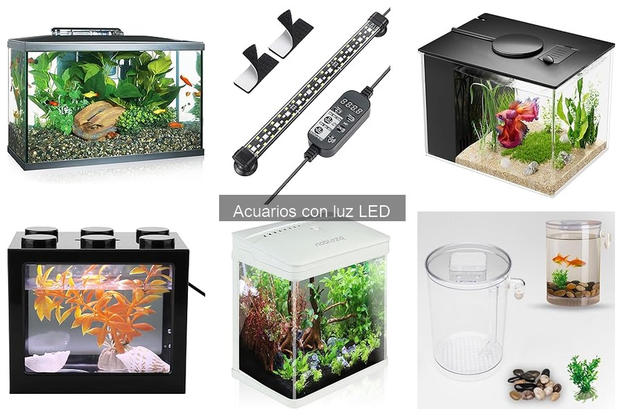 Acuarios con Luz LED: ¿Qué Son y Cómo Funcionan?