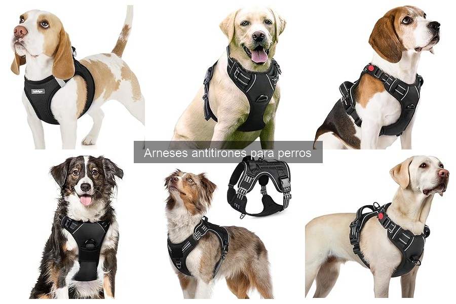 Ajuste Perfecto del Arnés Antitirones para Perros