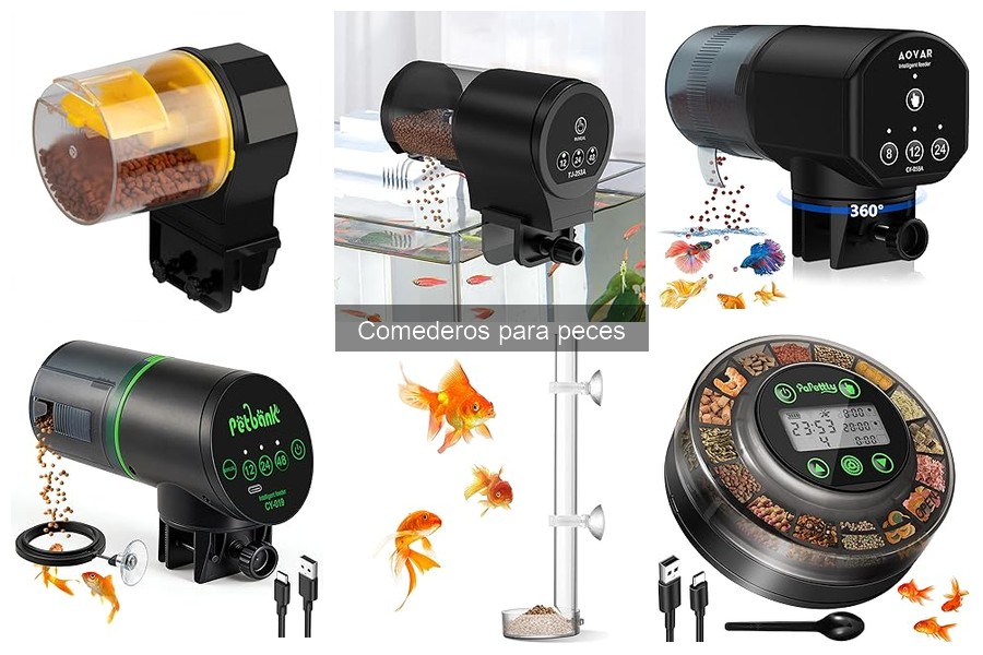 Alimentos ideales para comederos automáticos de peces
