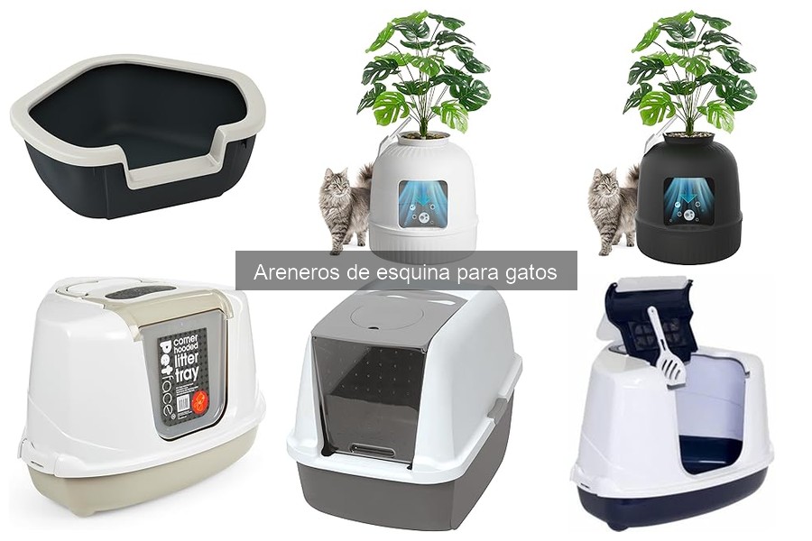 Alternativas a areneros de esquina para gatos: ventajas y desventajas