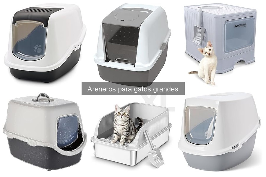 Alternativas a Areneros Grandes para Gatos: Soluciones Efectivas