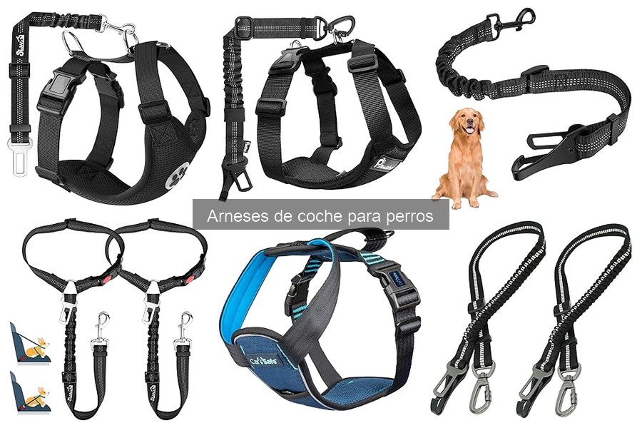 Alternativas a arneses de coche para perros: Cinturones y más