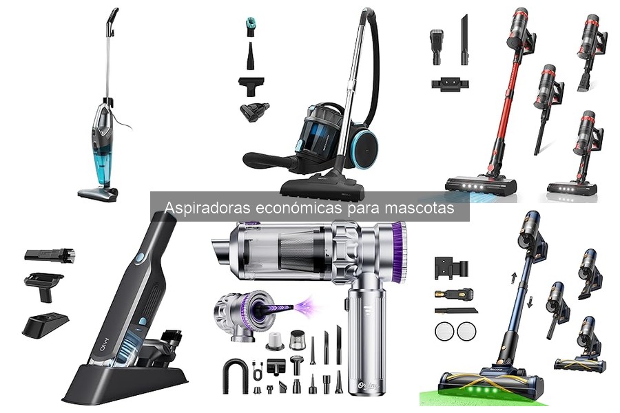 Alternativas a aspiradoras económicas para mascotas