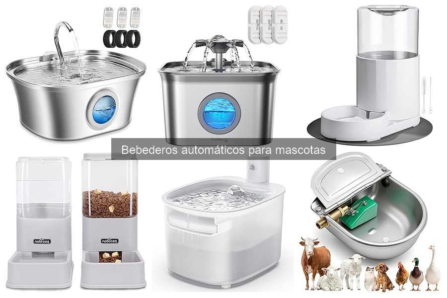 Alternativas a bebederos automáticos para mascotas