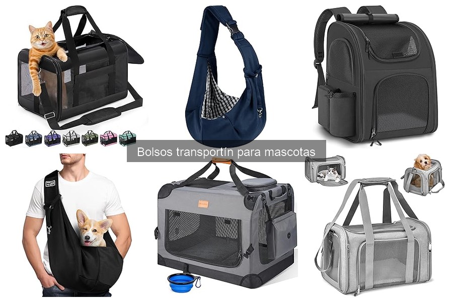 Alternativas a bolsos transportín para mascotas: mejores opciones