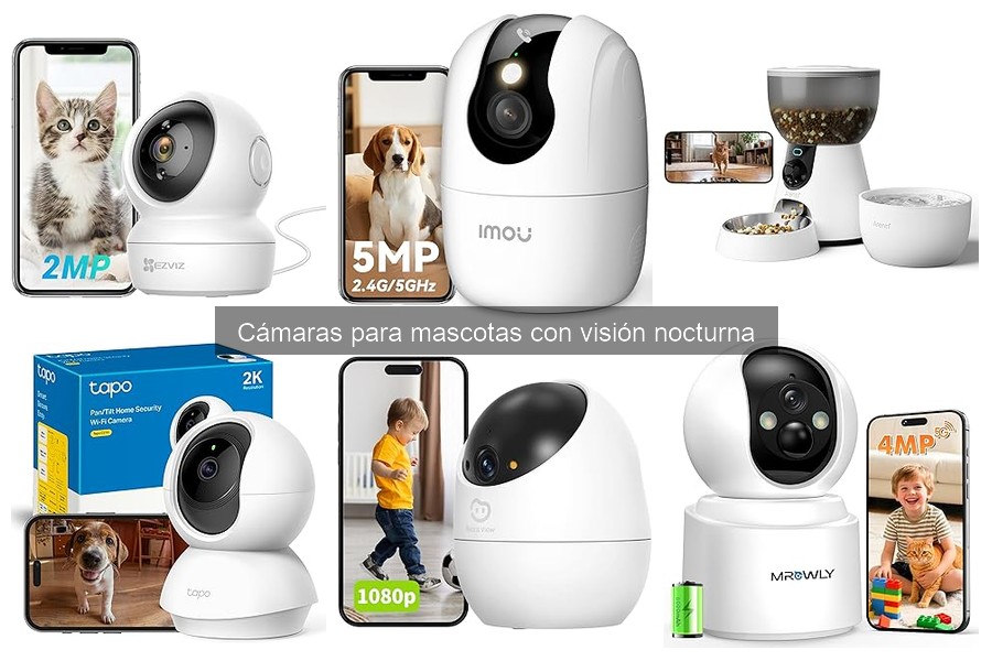 Alternativas a cámaras para mascotas con visión nocturna
