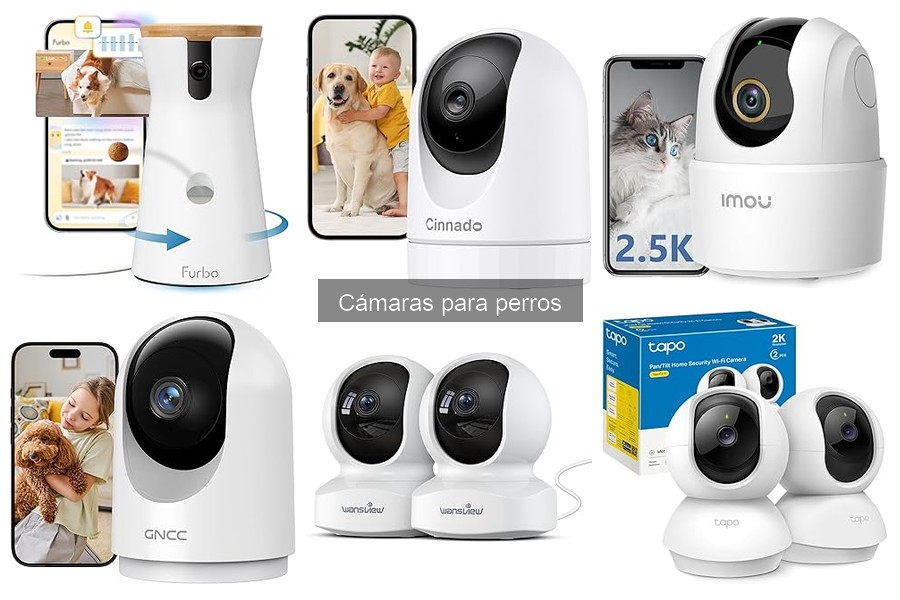 Alternativas a cámaras para perros: Mejores opciones de monitoreo