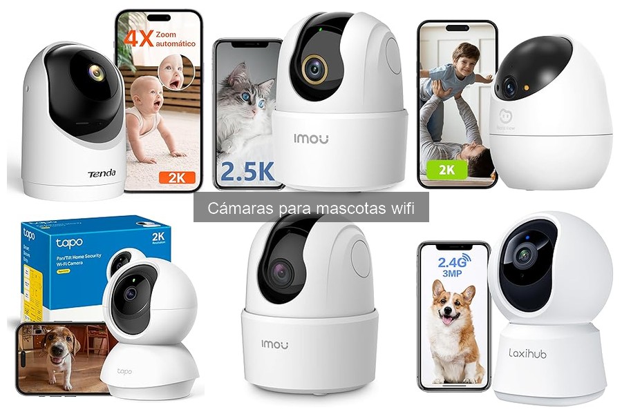Alternativas a cámaras wifi para mascotas: opciones efectivas