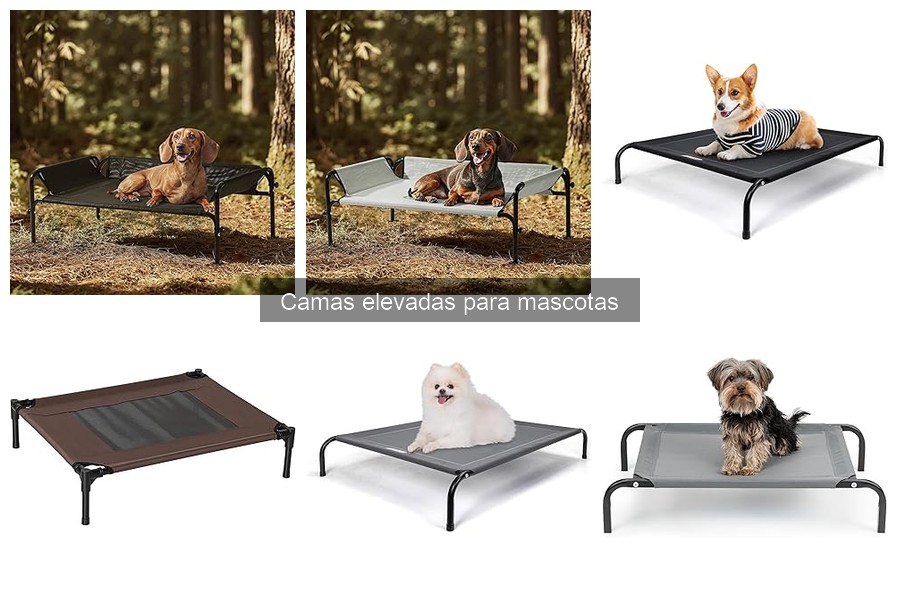 Alternativas a camas elevadas para mascotas con problemas articulares