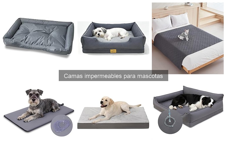 Alternativas a camas impermeables para mascotas: opciones útiles