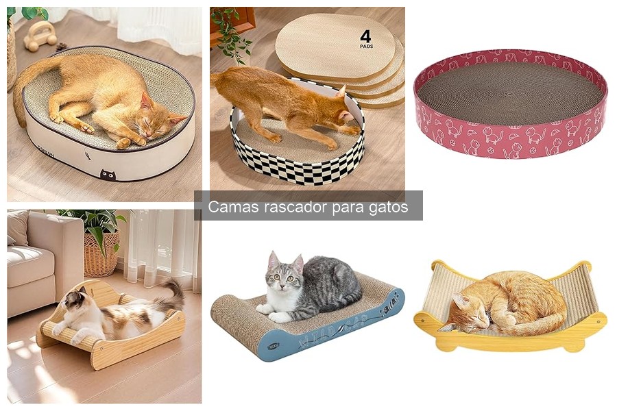 Alternativas a camas rascador para gatos: opciones efectivas
