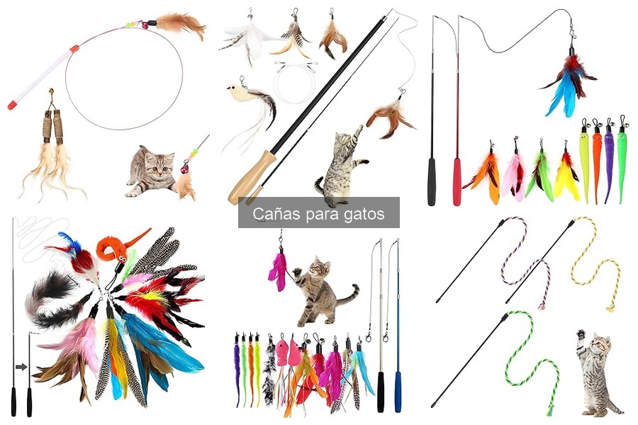 Alternativas a cañas para gatos: 6 juguetes interactivos