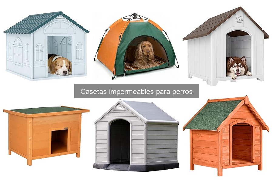 Alternativas a casetas impermeables para perros: opciones efectivas