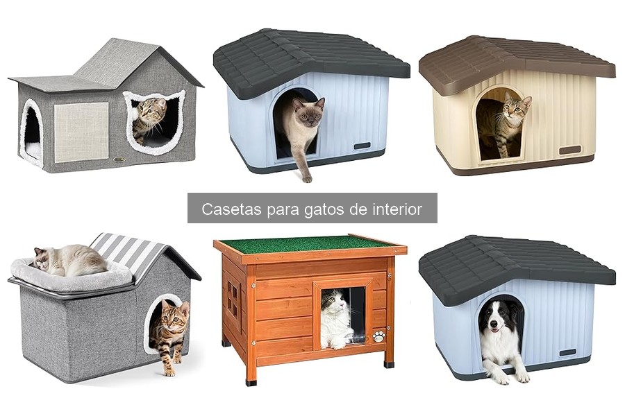 Alternativas a Casetas para Gatos de Interior: ¡Descubre Otras Opciones!