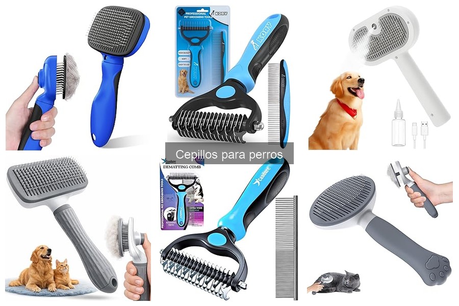 Alternativas a cepillos para perros: opciones eficaces