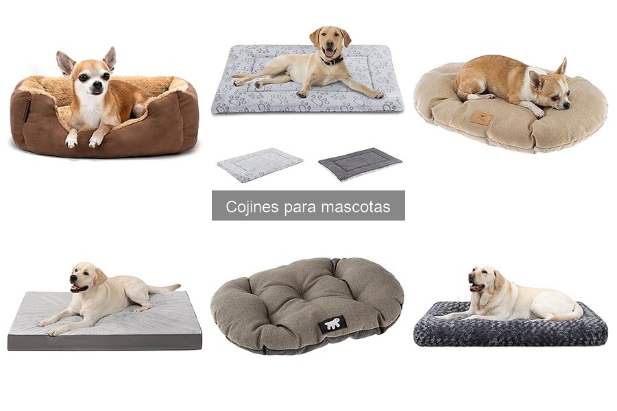 Alternativas a cojines para mascotas: camas y colchonetas