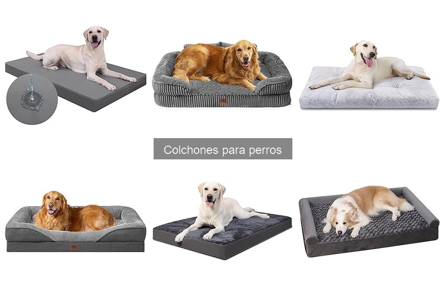 Alternativas a colchones para perros: opciones cómodas y seguras