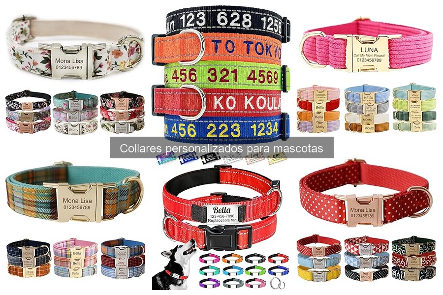Alternativas a Collares Personalizados para Mascotas