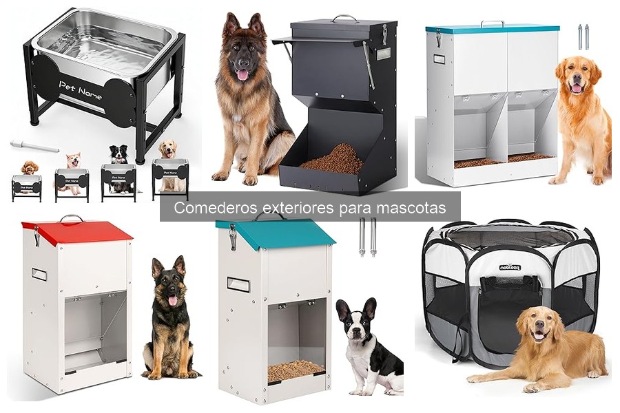 Alternativas a comederos exteriores para tus mascotas