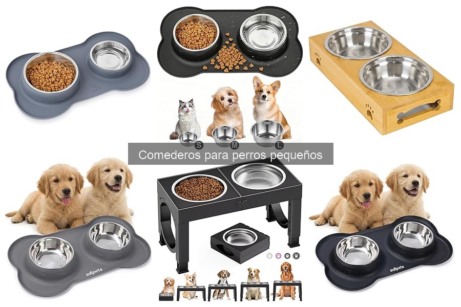 Alternativas a Comederos Tradicionales para Perros Pequeños