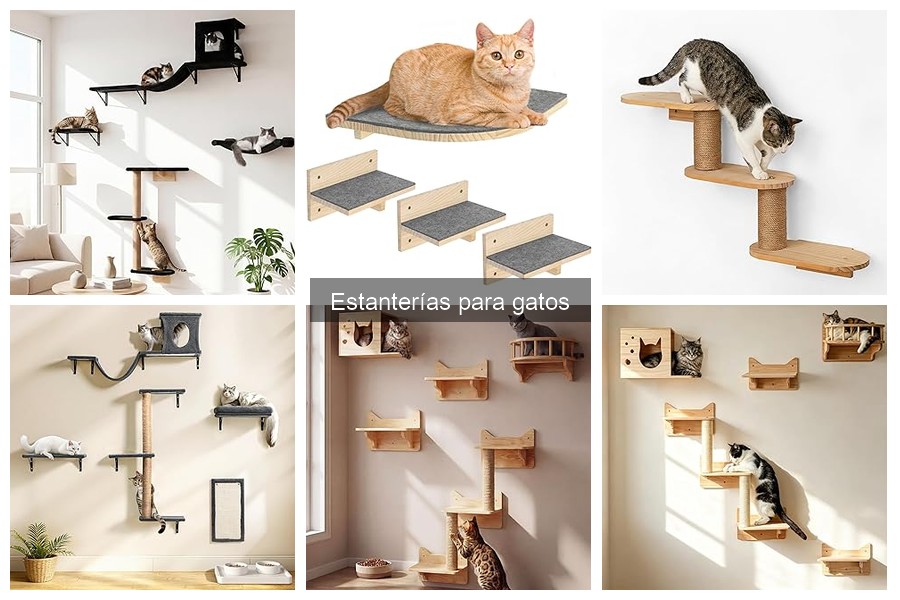 Alternativas a Estanterías para Gatos: Opciones Viables
