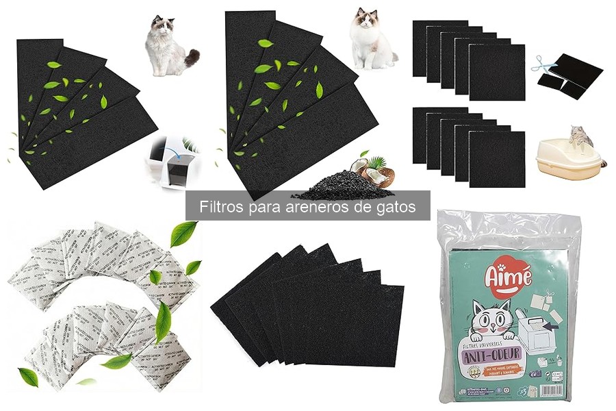 Alternativas a Filtros para Areneros de Gatos: Soluciones Efectivas