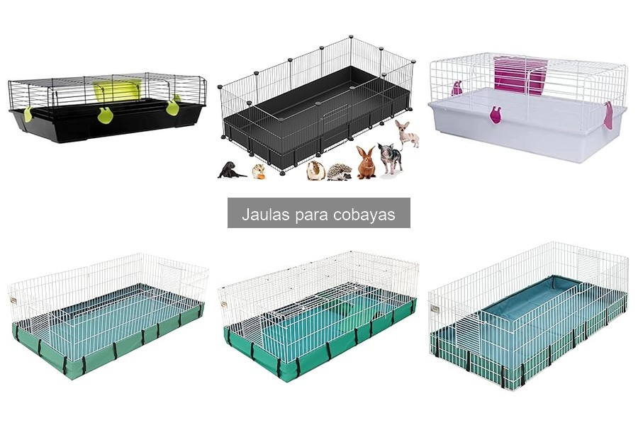 Alternativas a jaulas para cobayas: ¡Descubre opciones mejores!