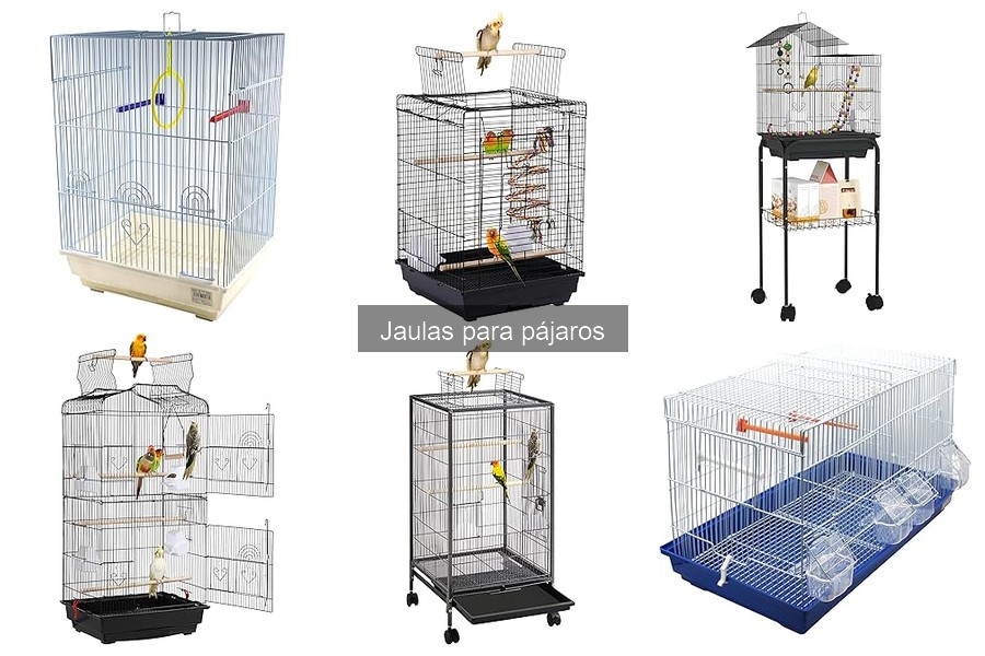 Alternativas a jaulas tradicionales para pájaros: descubre opciones