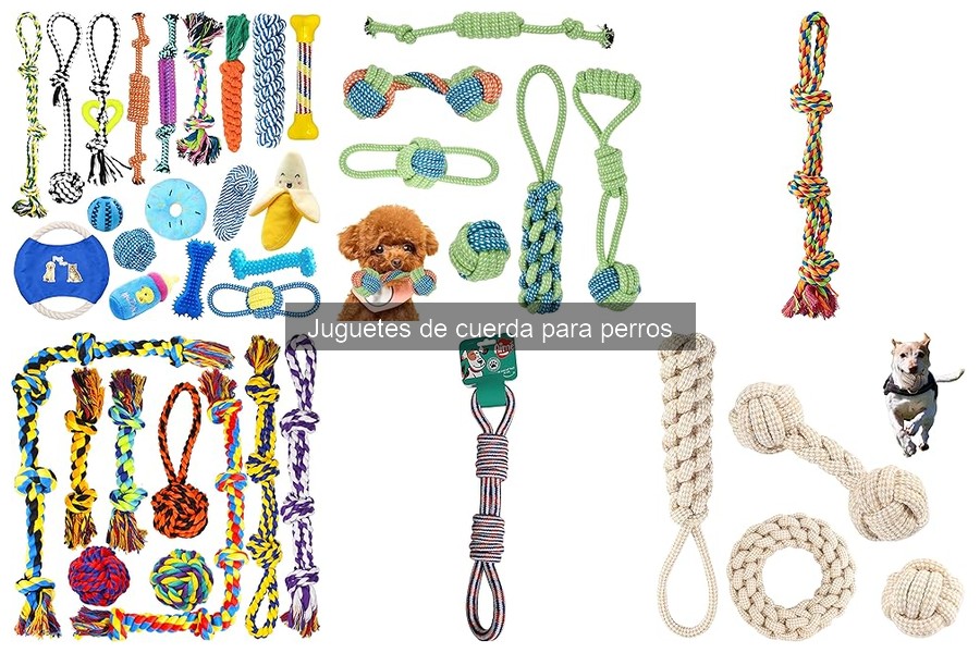 Alternativas a Juguetes de Cuerda para Perros Destructores