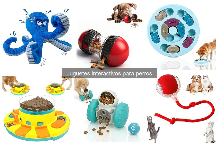 Alternativas a juguetes interactivos para perros que no juegan