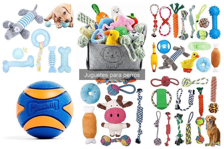 Alternativas a juguetes para perros: divierte a tu mascota sin comprar
