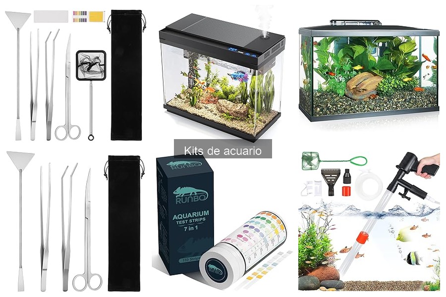 Alternativas a Kits de Acuario: Opciones para tu Acuario