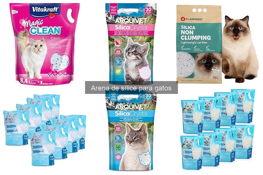 Alternativas a la arena de sílice para gatos: opciones efectivas