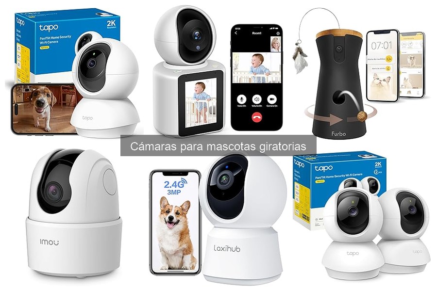 Alternativas a las cámaras giratorias para monitorear mascotas