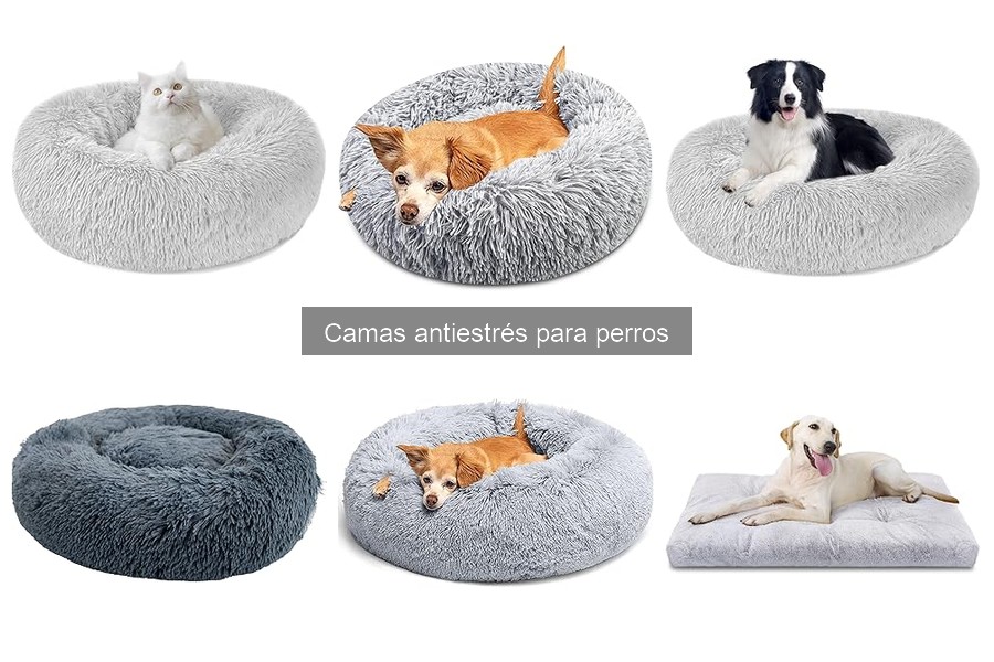 Alternativas a las camas antiestrés para perros: pros y contras