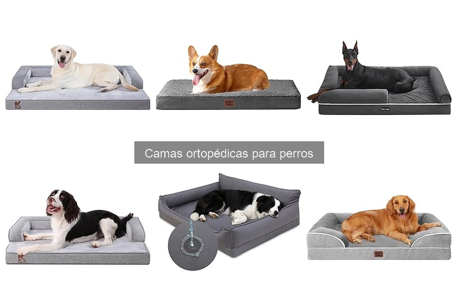 Alternativas a las camas ortopédicas para perros: opciones efectivas