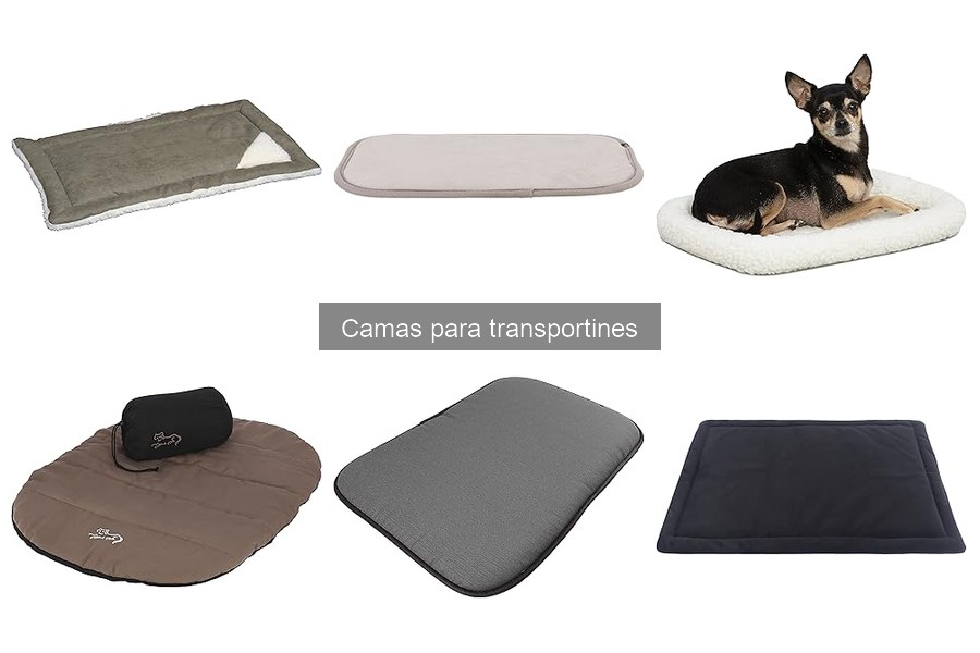 Alternativas a las camas para transportines: ¿Qué elegir?