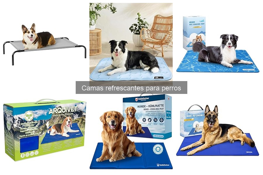 Alternativas a las Camas Refrescantes para Perros