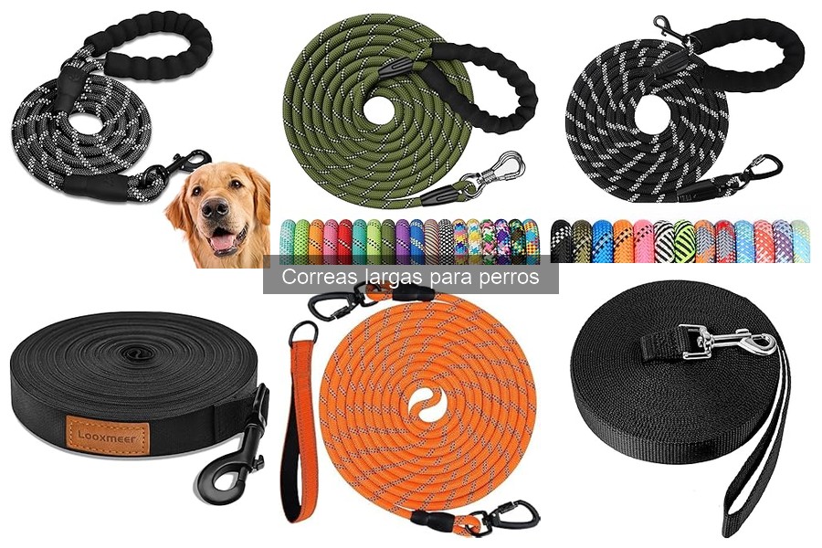 Alternativas a las Correas Largas para Perros: Opciones Efectivas