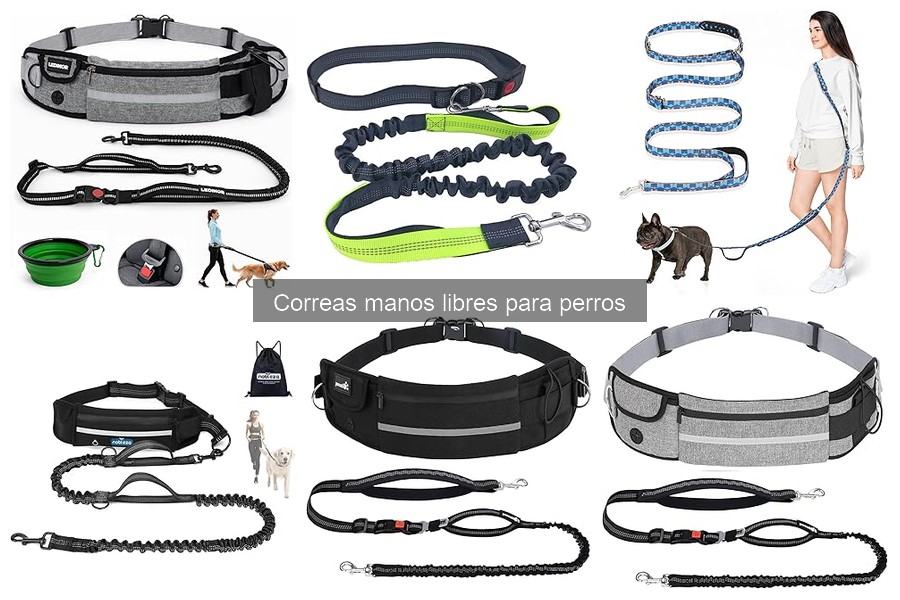 Alternativas a las Correas Manos Libres para Perros