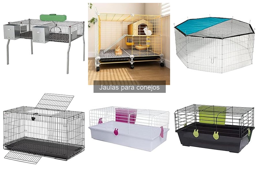 Alternativas a las jaulas para conejos: opciones y beneficios