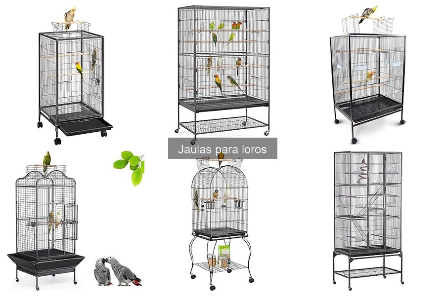 Alternativas a las Jaulas para Loros: Espacios Ideales