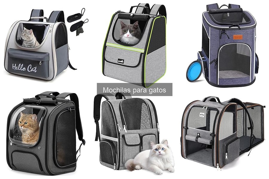 Alternativas a las mochilas para gatos: opciones efectivas
